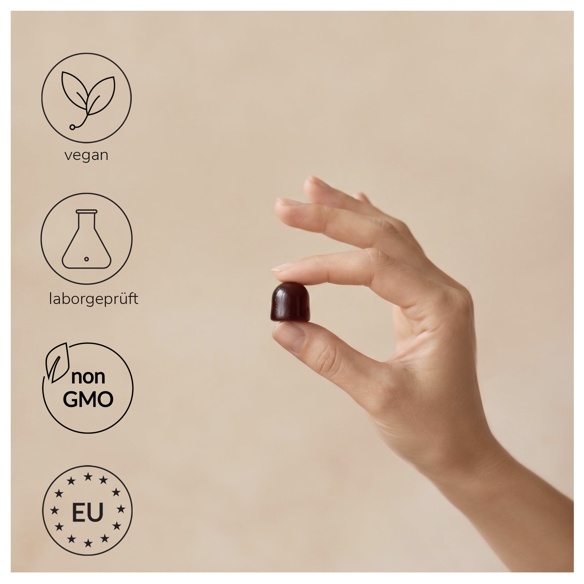 Moment of Balance ( Presale )